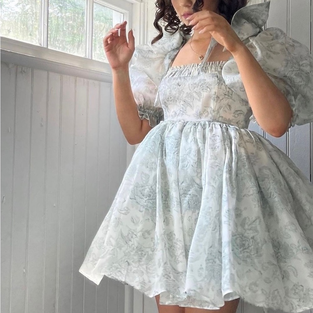 NWT Selkie Austen Da Vinci Puff Dress in Small